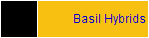 Basil